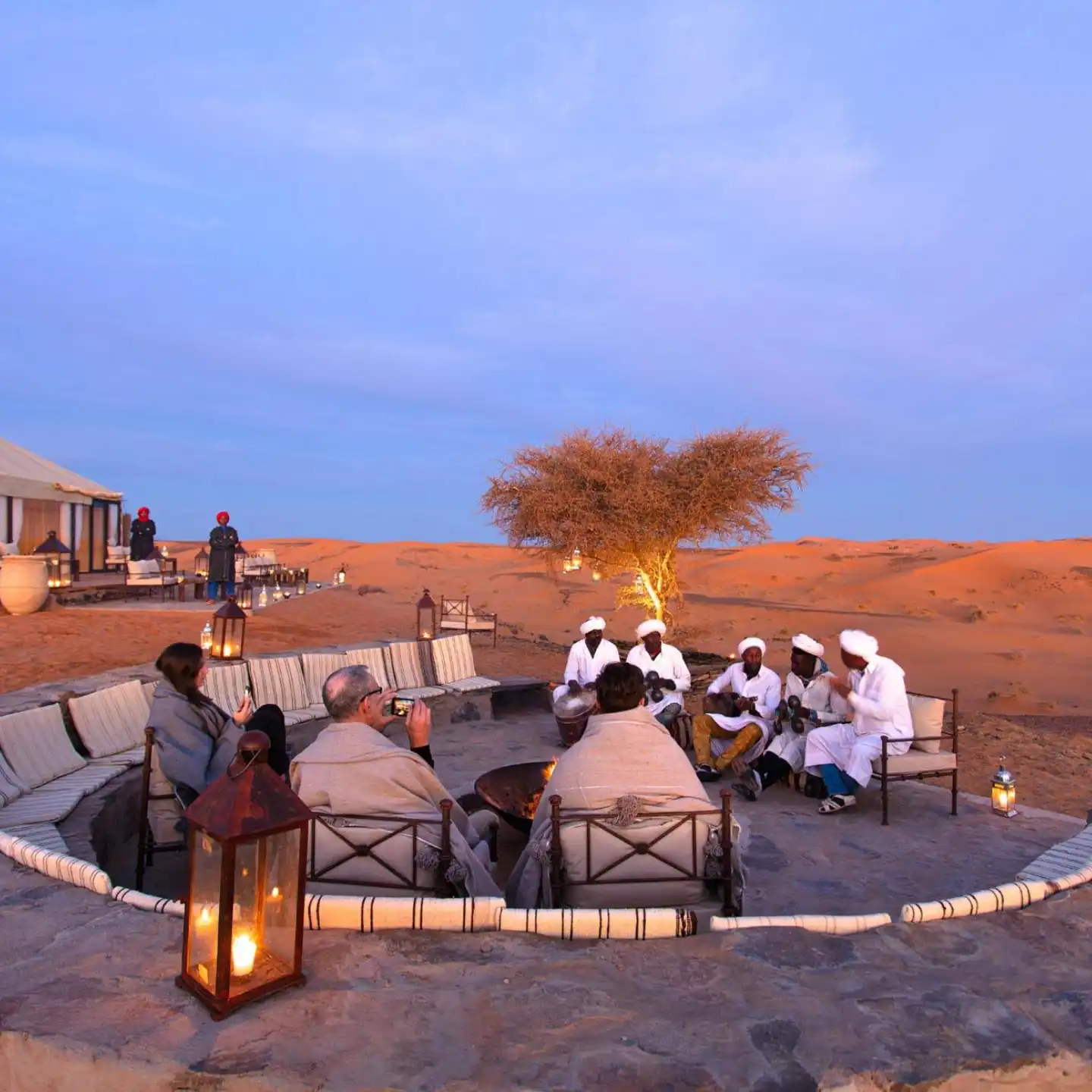 The White Camel Acacia