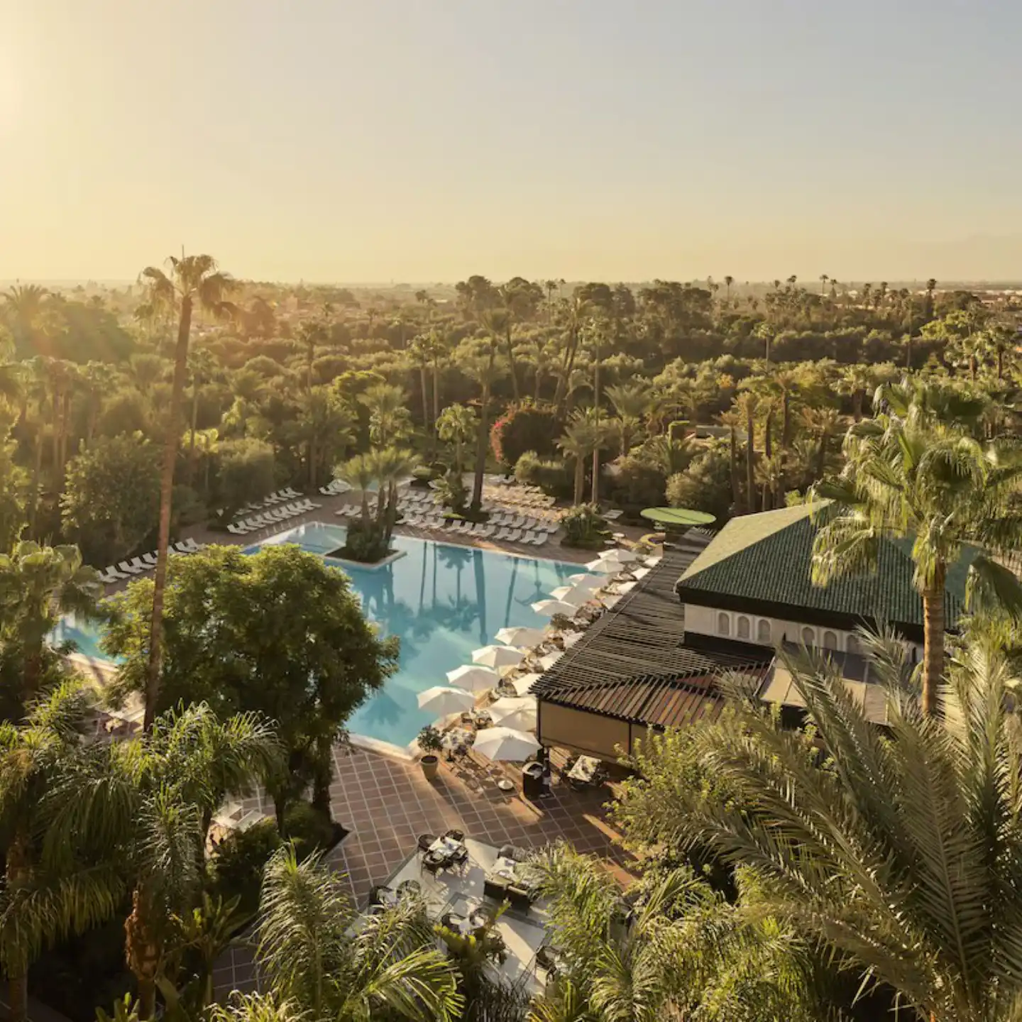 Mamounia garden