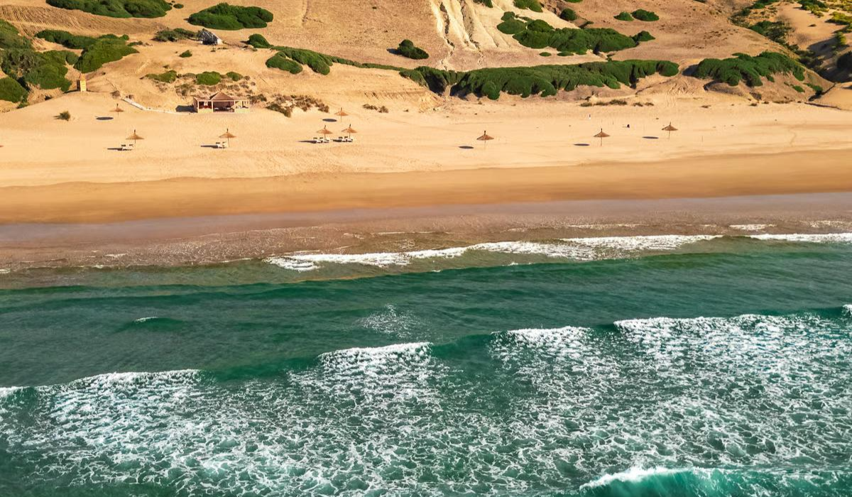 La Fiermontina Ocean