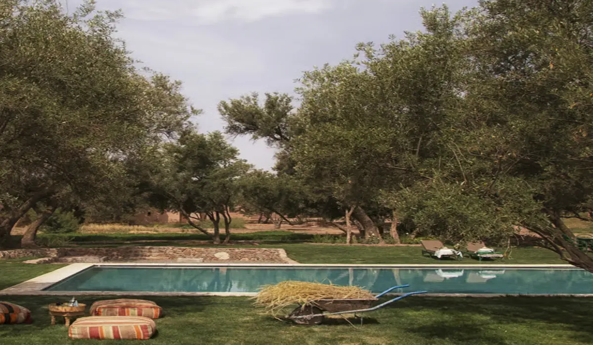 Morocco Luxury Tours